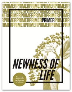 primer-issue-6-cover