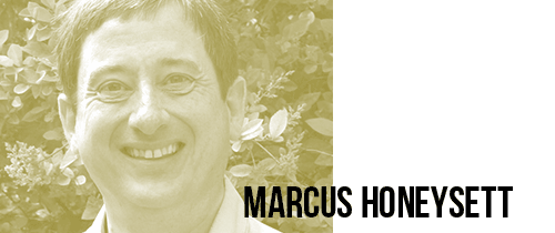 issue-06-marcus-honeysett